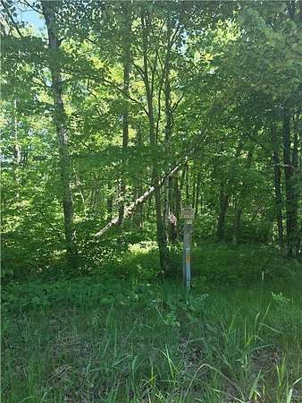 4.56 Acres of Residential Land for Sale in Farm Island Township, Minnesota