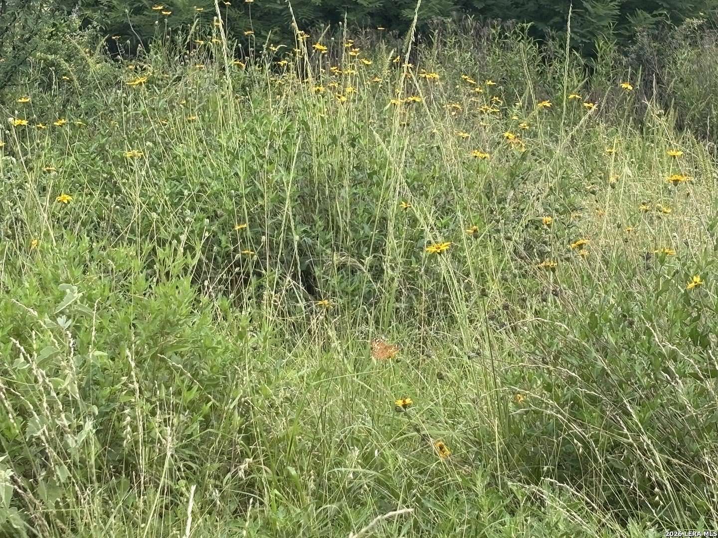 15 Acres of Recreational & Residential Land for Sale in Moore, Texas