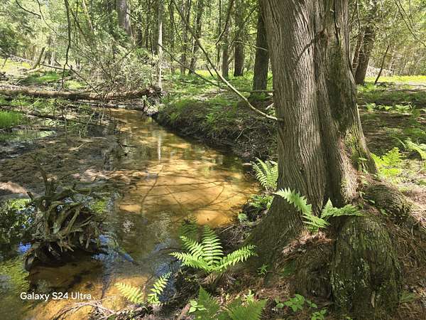 3.19 Acres of Residential Land for Sale in Luther, Michigan
