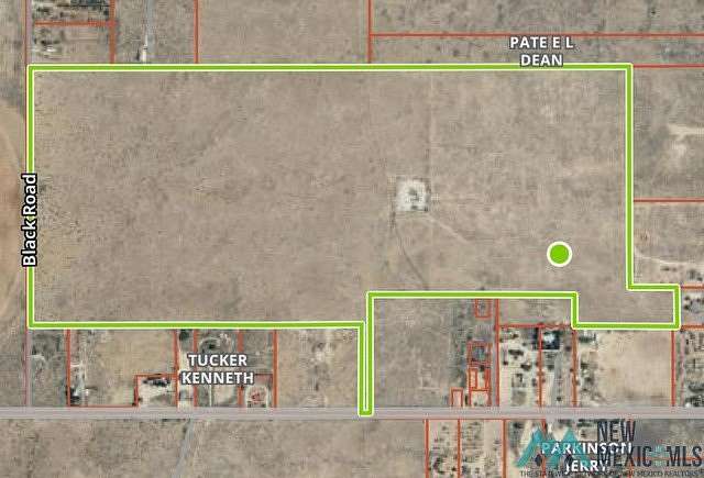 204 Acres of Land for Sale in Tatum, New Mexico