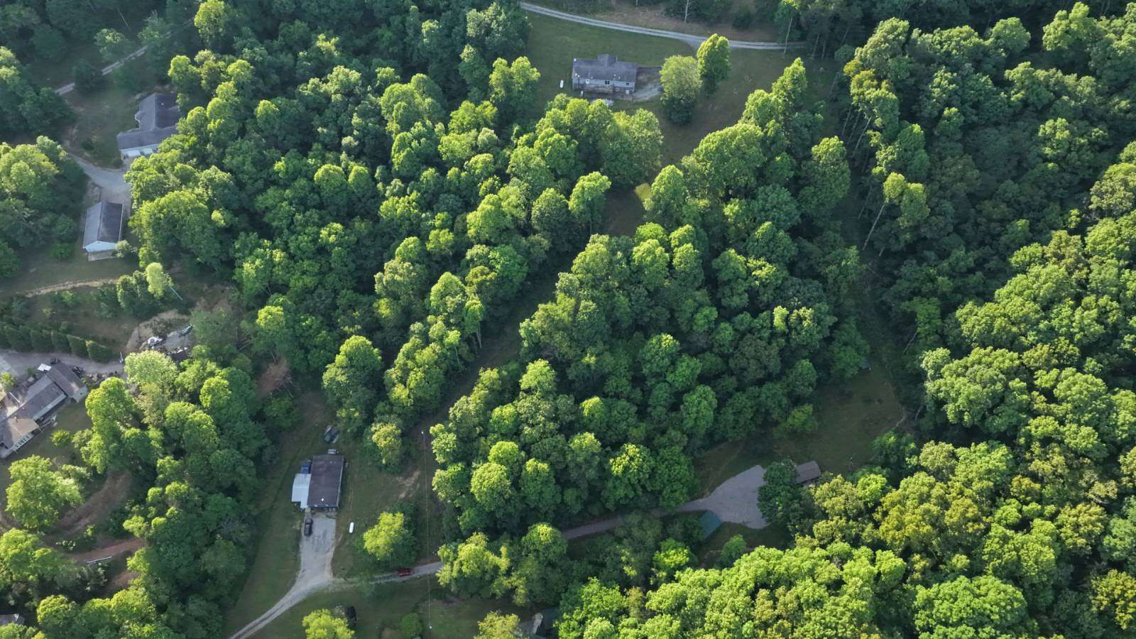 1.9 Acres of Land for Sale in Horner, West Virginia
