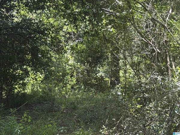 1 Acre of Land for Sale in Andalusia, Alabama
