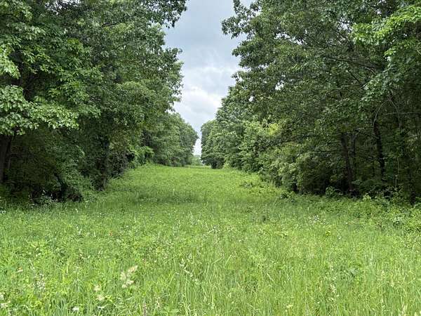 13.4 Acres of Land for Sale in Albion, Michigan
