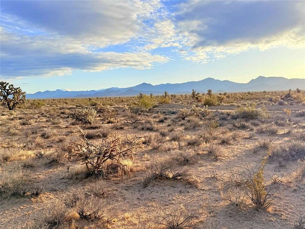 40 Acres of Land for Sale in Yucca, Arizona