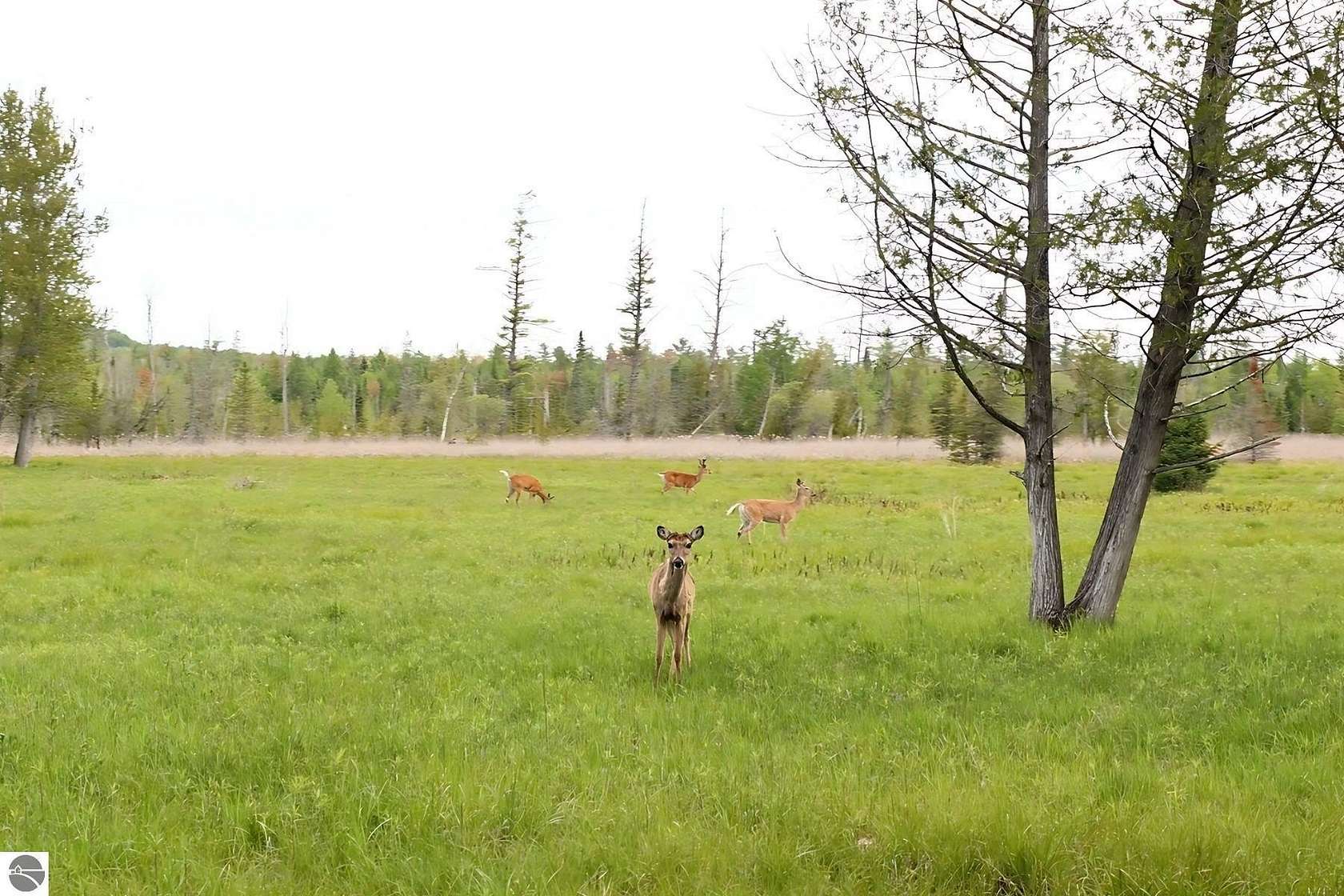352 Acres of Recreational Land for Sale in Cedar, Michigan