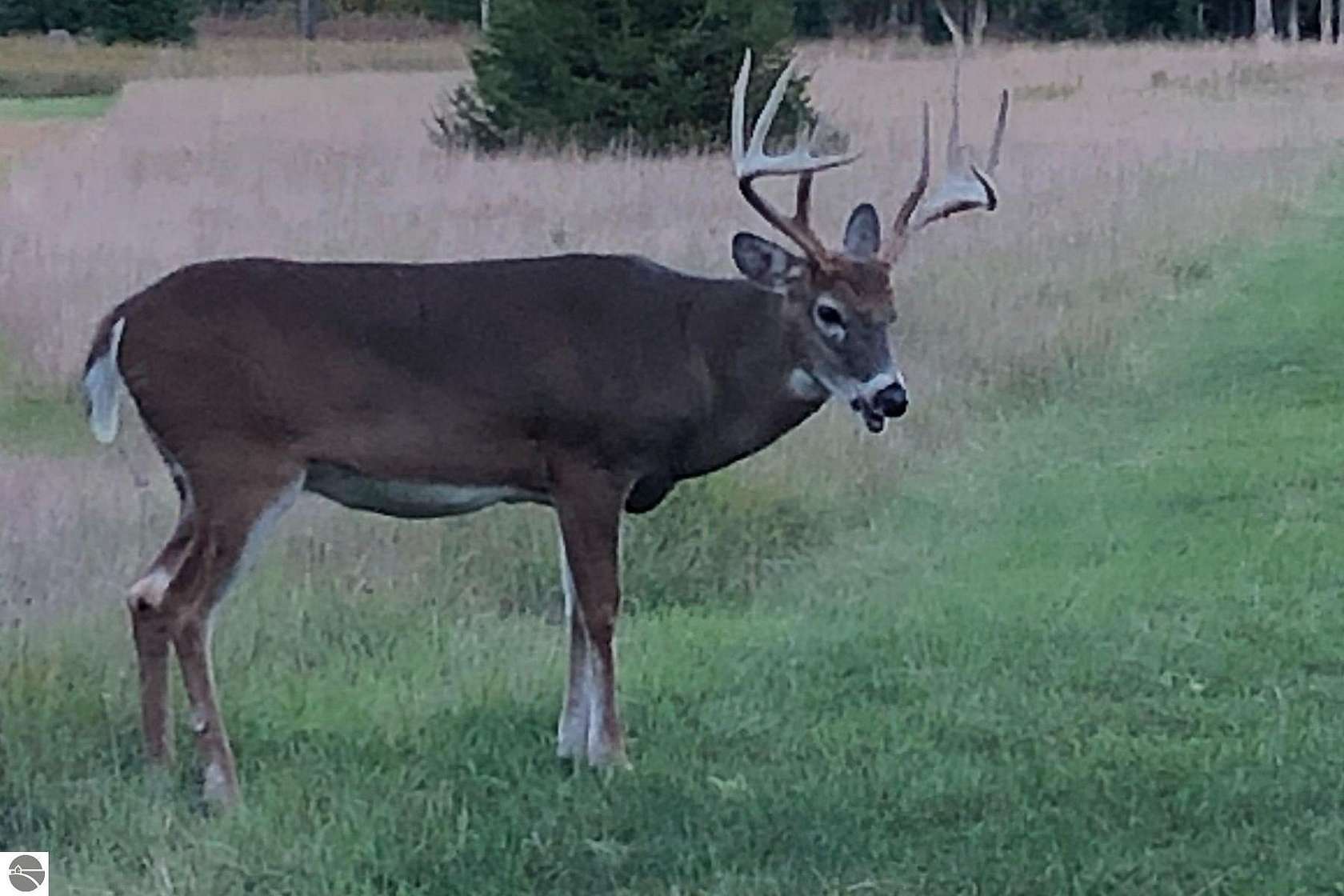 352 Acres of Recreational Land for Sale in Cedar, Michigan