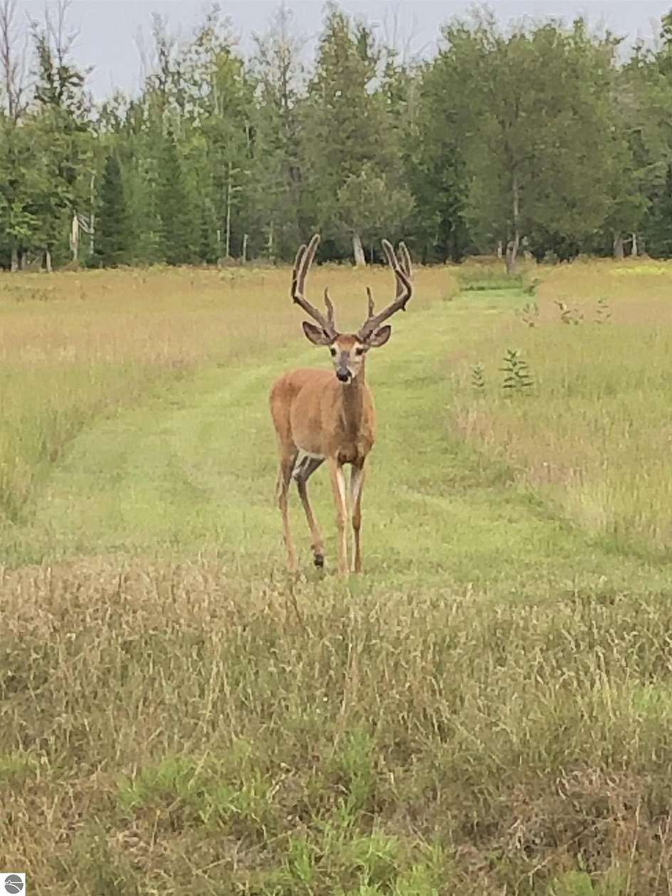 352 Acres of Recreational Land for Sale in Cedar, Michigan