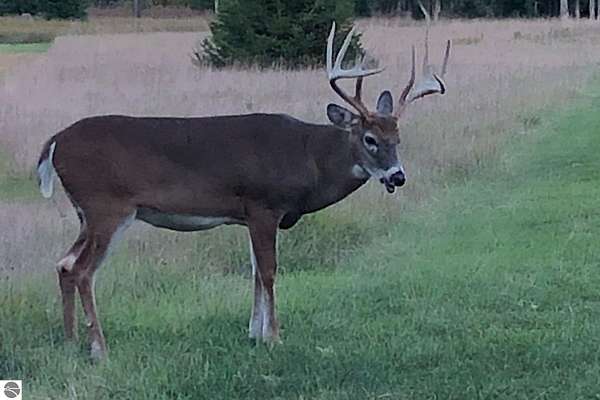 352 Acres of Recreational Land for Sale in Cedar, Michigan