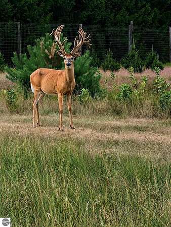 352 Acres of Recreational Land for Sale in Cedar, Michigan