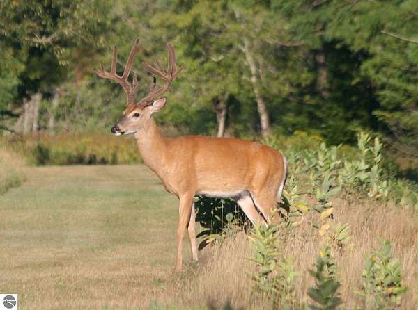 352 Acres of Recreational Land for Sale in Cedar, Michigan