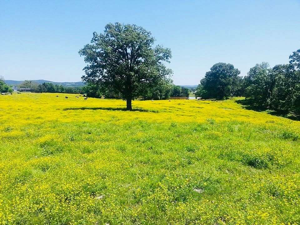 52.7 Acres of Land with Home for Sale in Lamar, Arkansas