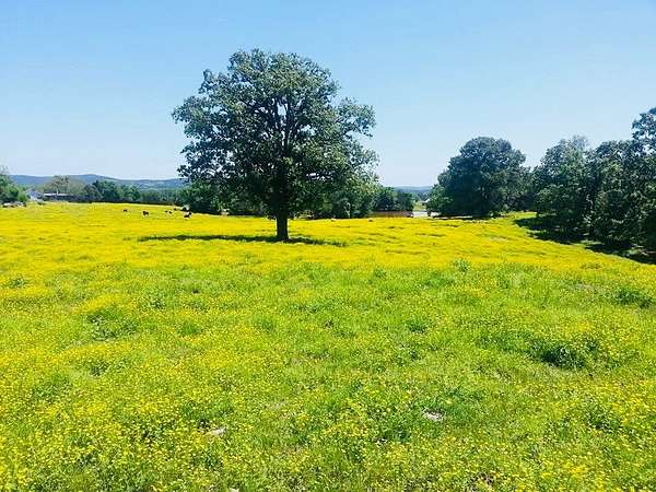 52.7 Acres of Land with Home for Sale in Lamar, Arkansas