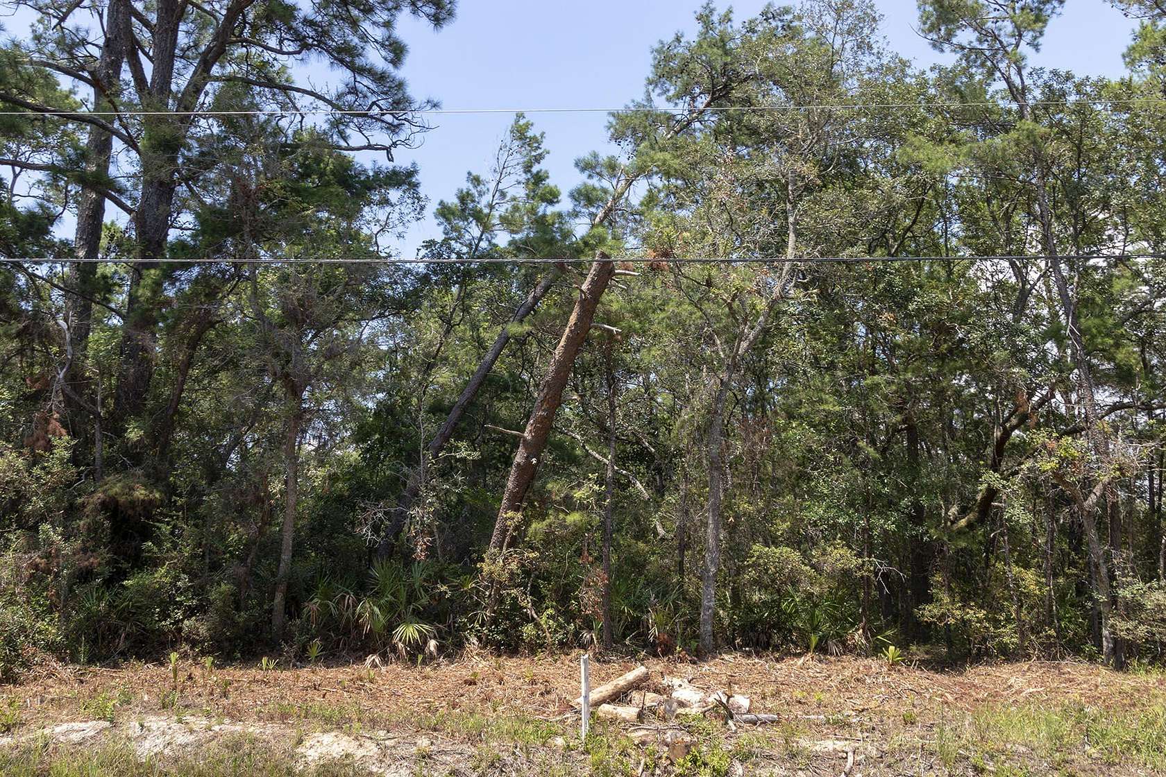 0.18 Acres of Residential Land for Sale in Santa Rosa Beach, Florida