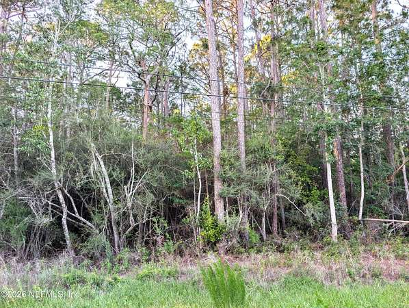 1.14 Acres of Residential Land for Sale in Middleburg, Florida