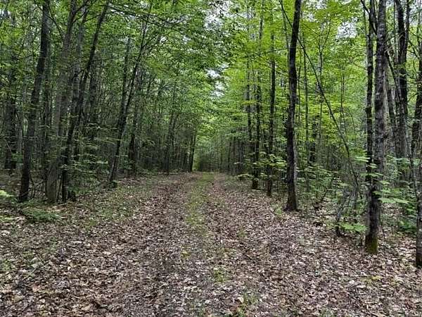 36.5 Acres of Recreational Land for Sale in Athens, Maine
