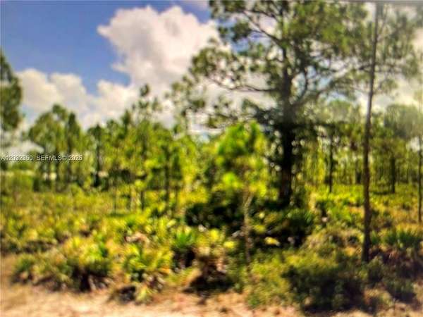 0.19 Acres of Residential Land for Sale in Punta Gorda, Florida