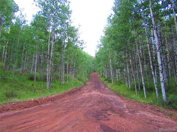 5.39 Acres of Residential Land for Sale in San Luis, Colorado