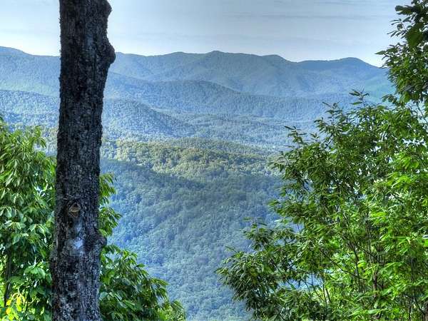 2.73 Acres of Residential Land for Sale in Ellijay, Georgia