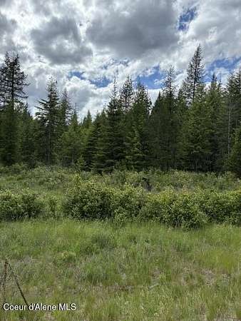 5 Acres of Residential Land for Sale in Athol, Idaho