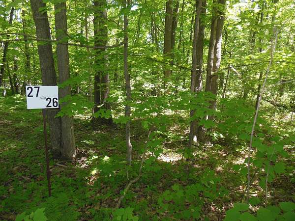 0.83 Acres of Residential Land for Sale in Harrison, Michigan