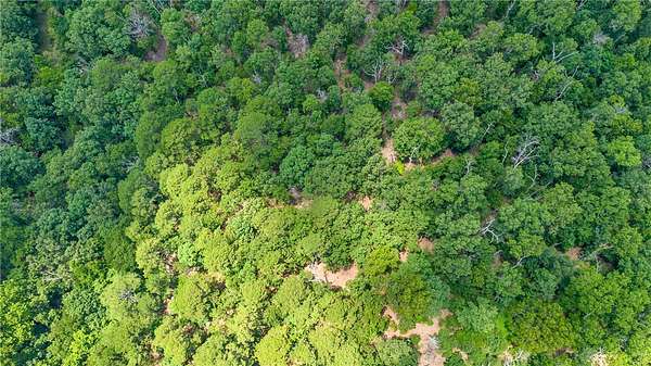 38.3 Acres of Recreational & Residential Land for Sale in Harrison, Arkansas