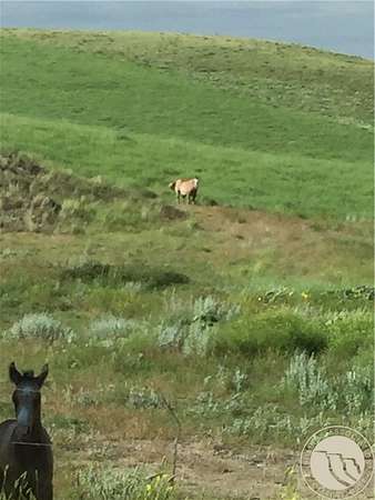 15 Acres of Land for Sale in Laurel, Montana