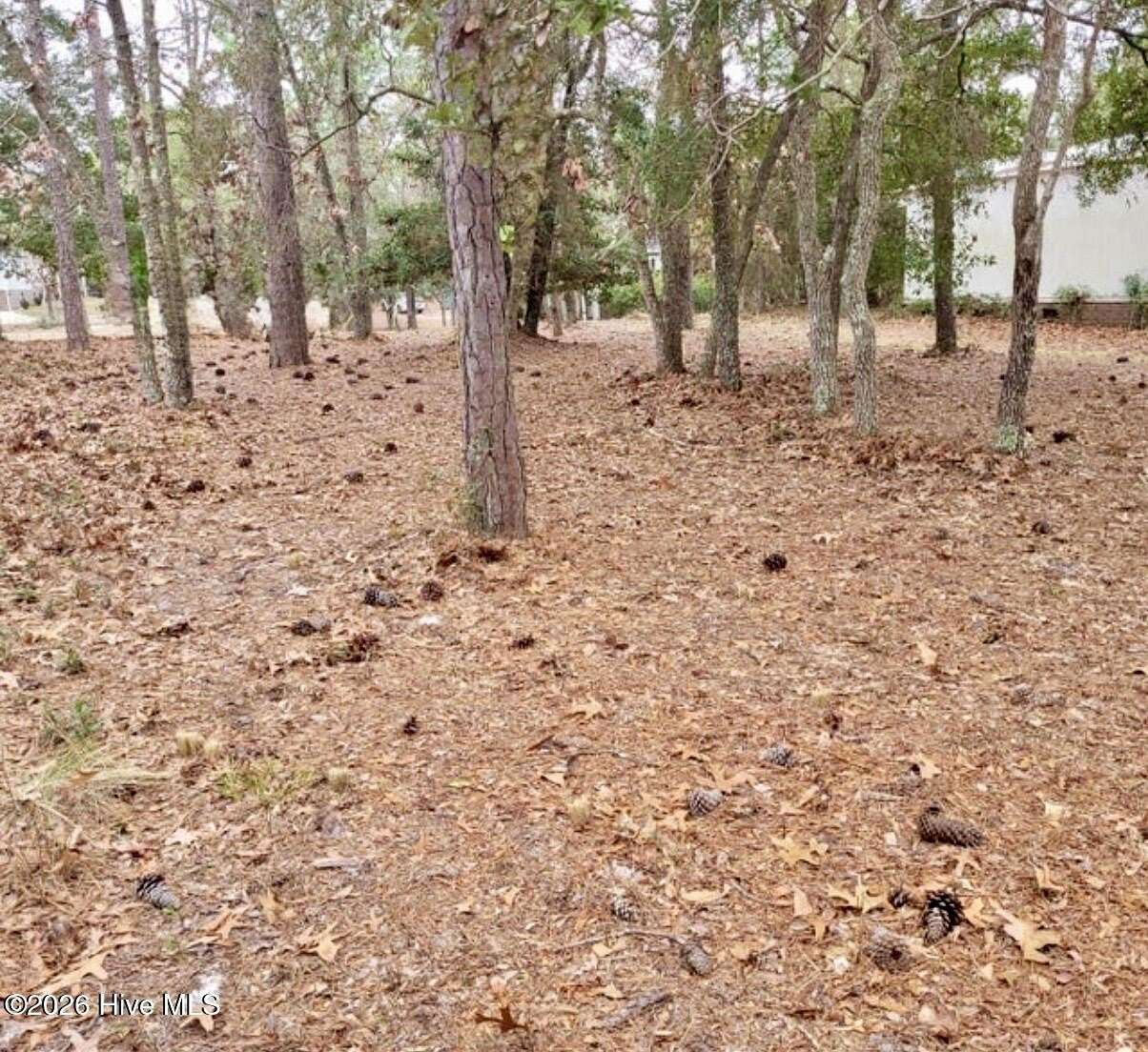 0.2 Acres of Residential Land for Sale in Bolivia, North Carolina