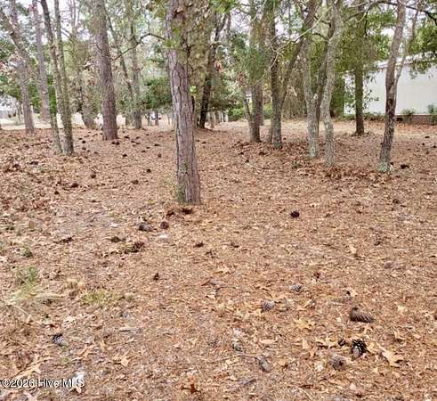 0.2 Acres of Residential Land for Sale in Bolivia, North Carolina