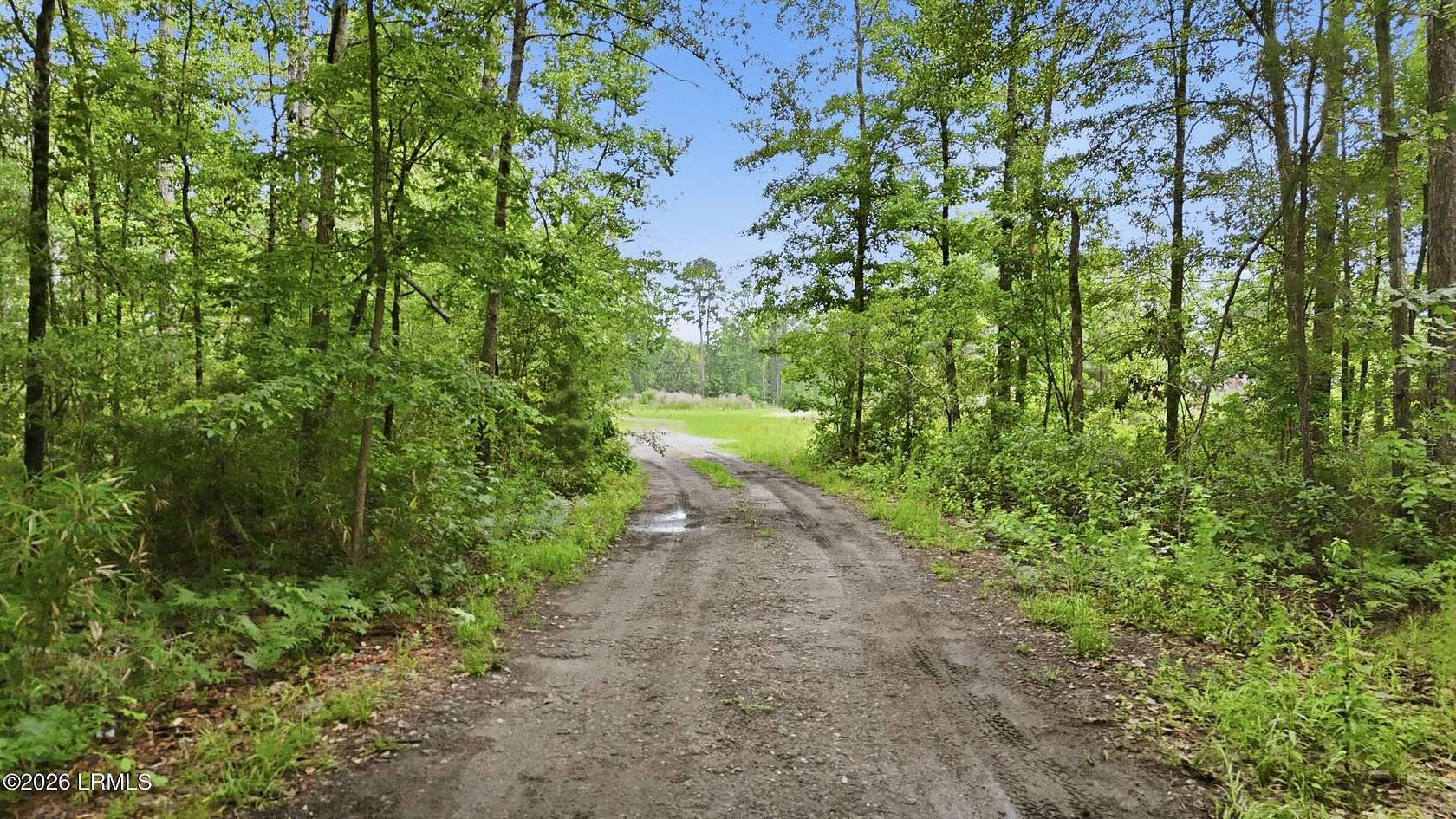 8.2 Acres of Residential Land for Sale in Ridgeland, South Carolina
