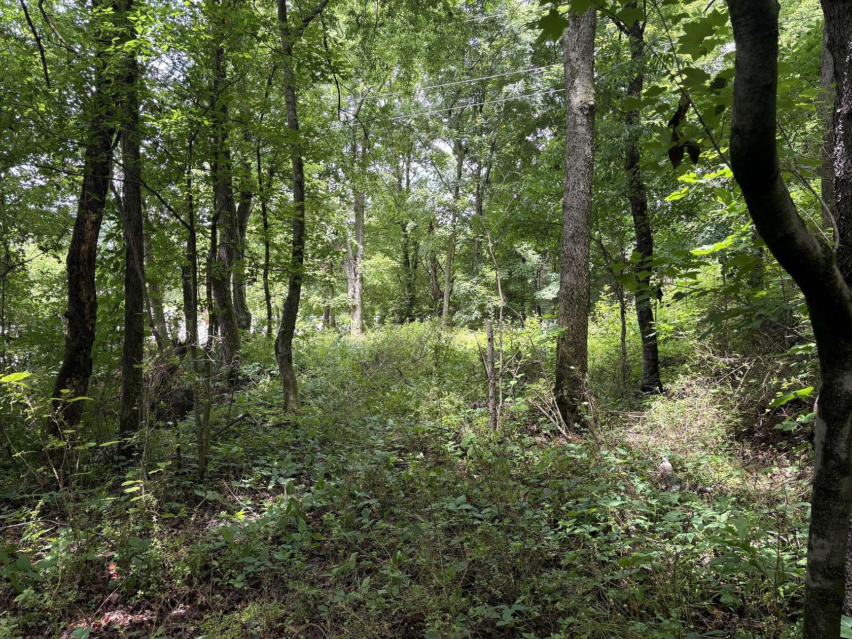 0.45 Acres of Land for Sale in Cleveland, Tennessee
