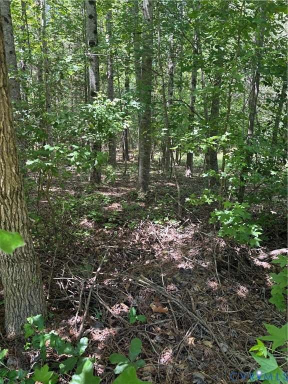 18.6 Acres of Land for Sale in Charles City, Virginia