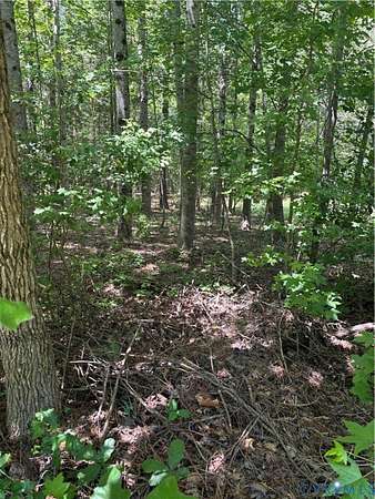 18.6 Acres of Land for Sale in Charles City, Virginia