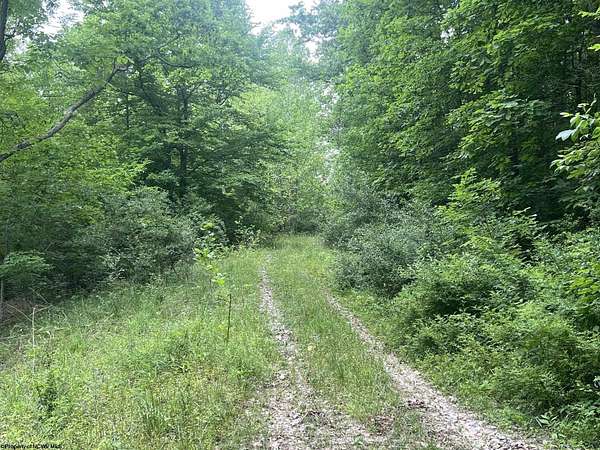 50.7 Acres of Recreational Land for Sale in Weston, West Virginia