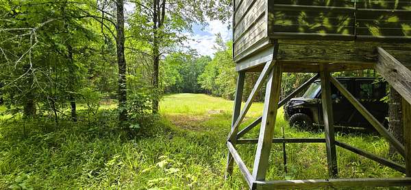 285 Acres of Land for Sale in Hornsby, Tennessee