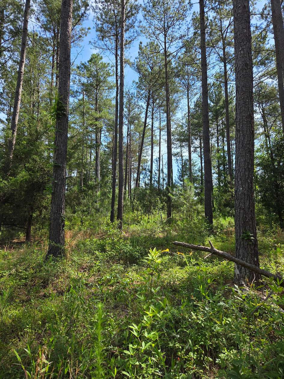 16.2 Acres of Land for Sale in Barnesville, Georgia