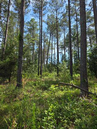 16.2 Acres of Land for Sale in Barnesville, Georgia
