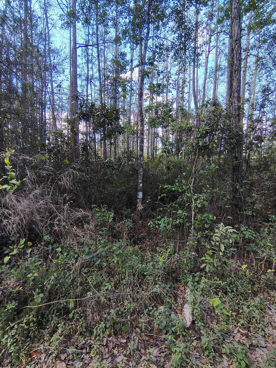 0.56 Acres of Land for Sale in Palatka, Florida