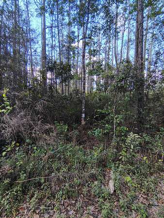 0.56 Acres of Land for Sale in Palatka, Florida