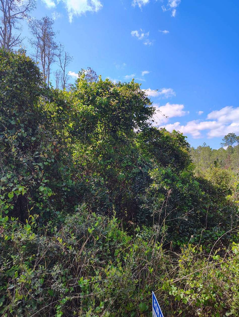 1.14 Acres of Land for Sale in Palatka, Florida