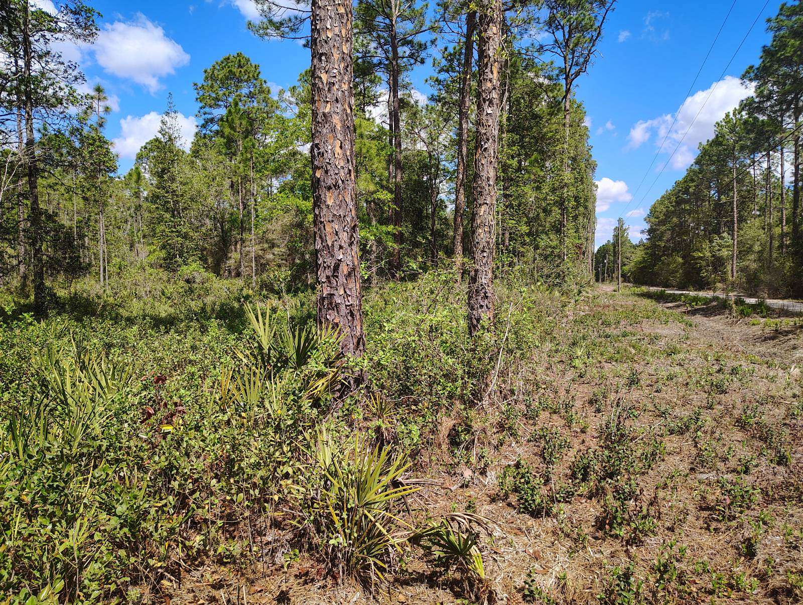1.35 Acres of Land for Sale in Palatka, Florida