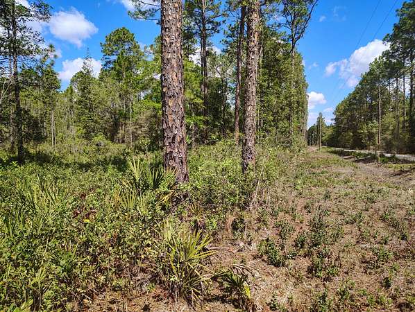 1.35 Acres of Land for Sale in Palatka, Florida