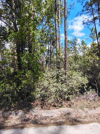 0.6 Acres of Land for Sale in Palatka, Florida