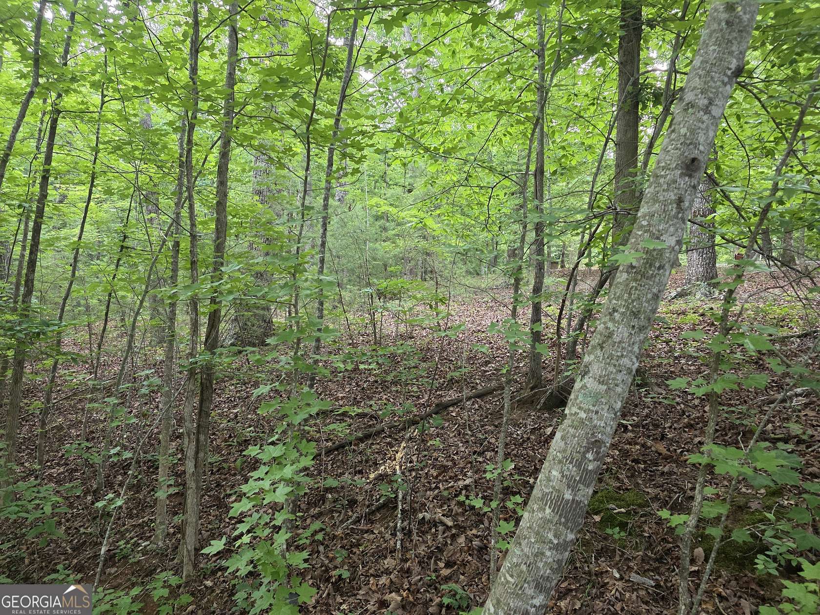 4 Acres of Residential Land for Sale in Clarkesville, Georgia