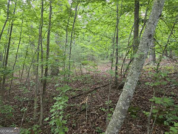 4 Acres of Residential Land for Sale in Clarkesville, Georgia