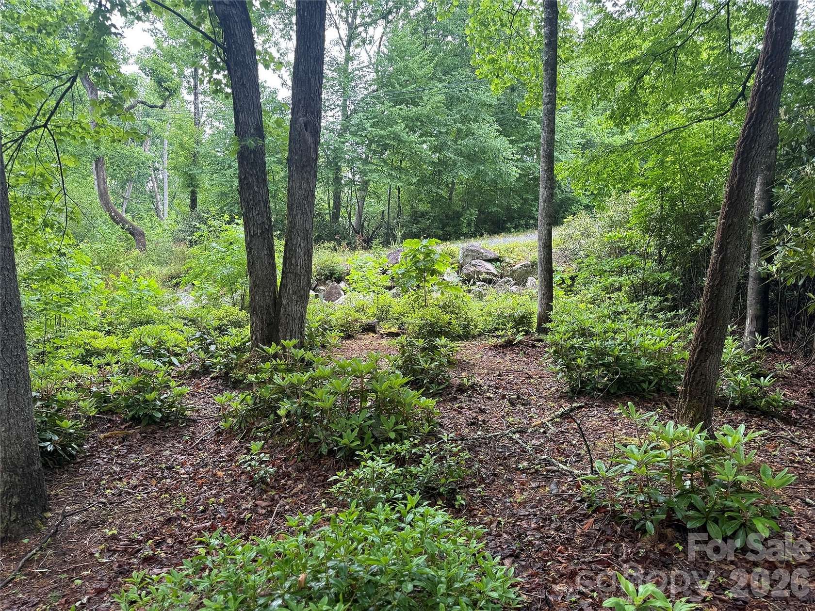 1.35 Acres of Residential Land for Sale in Spruce Pine, North Carolina