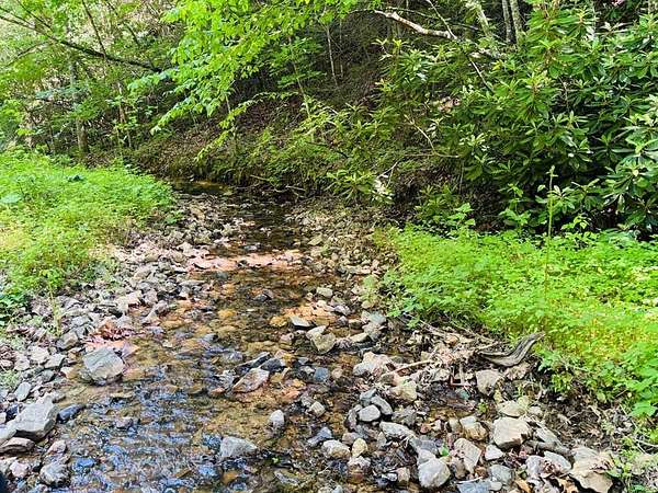 112 Acres of Land for Sale in Austinville, Virginia