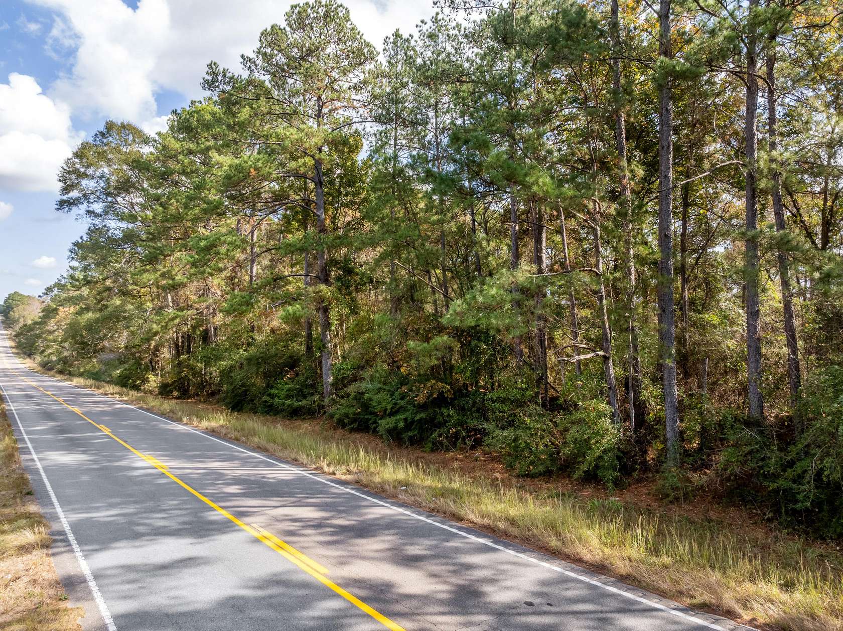 40 Acres of Recreational Land for Sale in Moselle, Mississippi