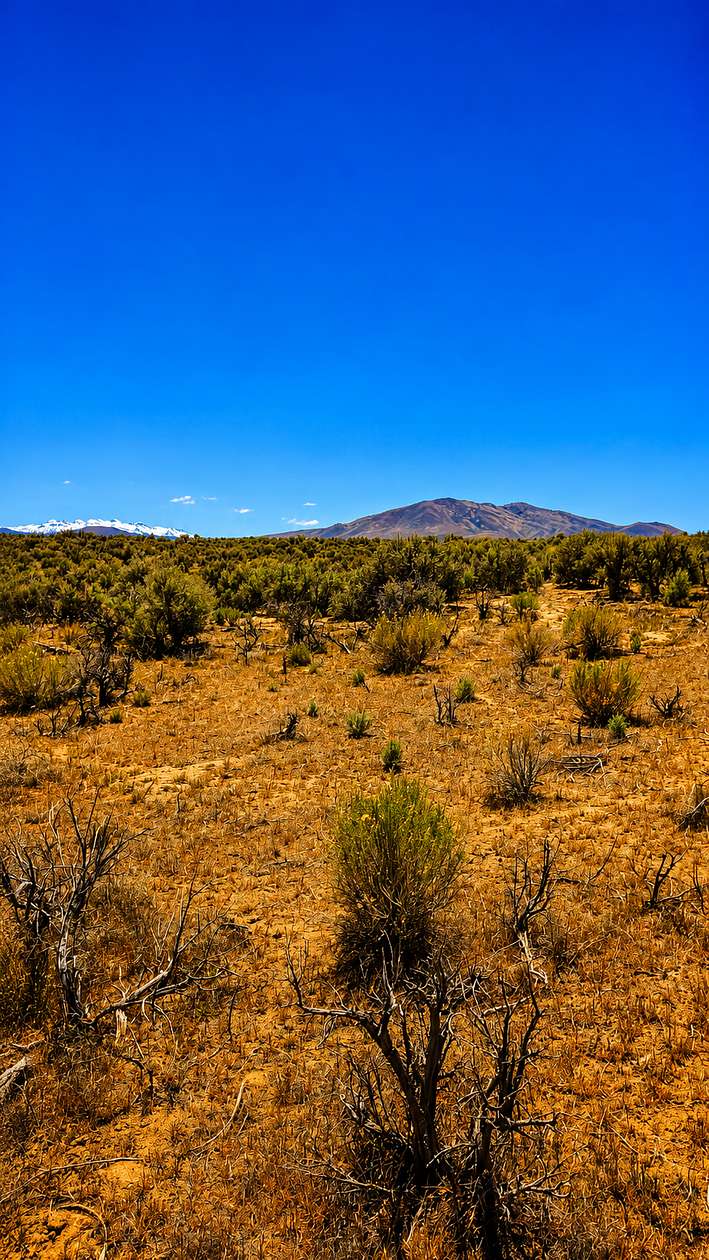 2 Acres of Land for Sale in Ryndon, Nevada
