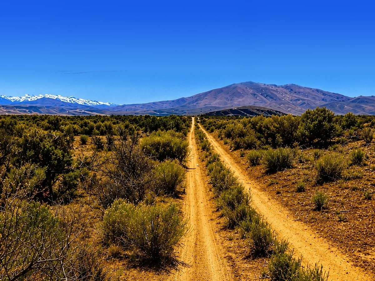 2 Acres of Land for Sale in Ryndon, Nevada