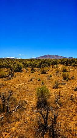 2 Acres of Land for Sale in Ryndon, Nevada